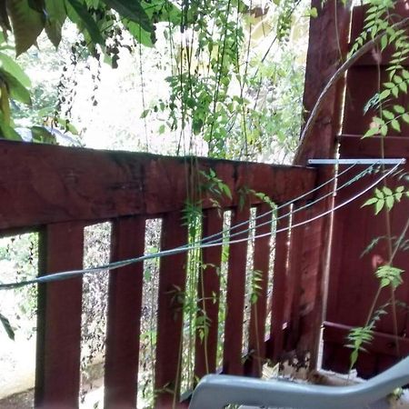Casas 100M Da Praia Camburi  Εξωτερικό φωτογραφία