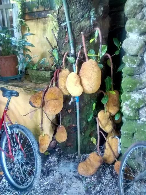 Casas 100M Da Praia Camburi  Εξωτερικό φωτογραφία
